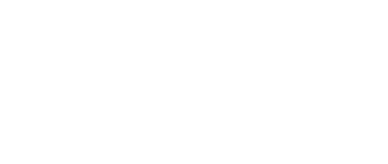 Type Network partner